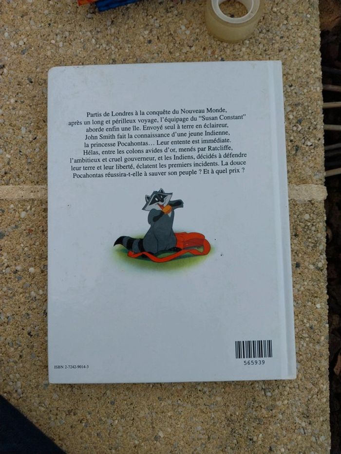 Livre pocahontas - photo numéro 2