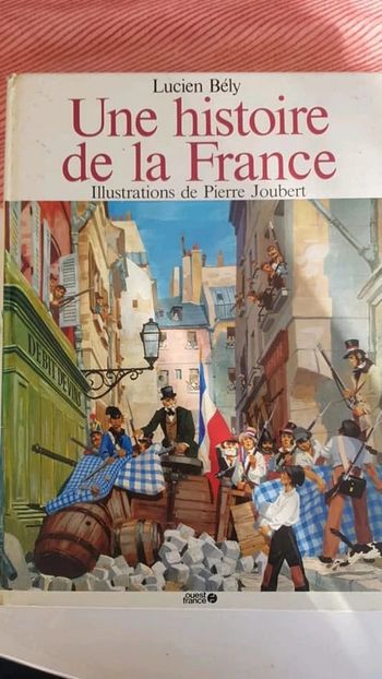 Livre vintage une histoire de France