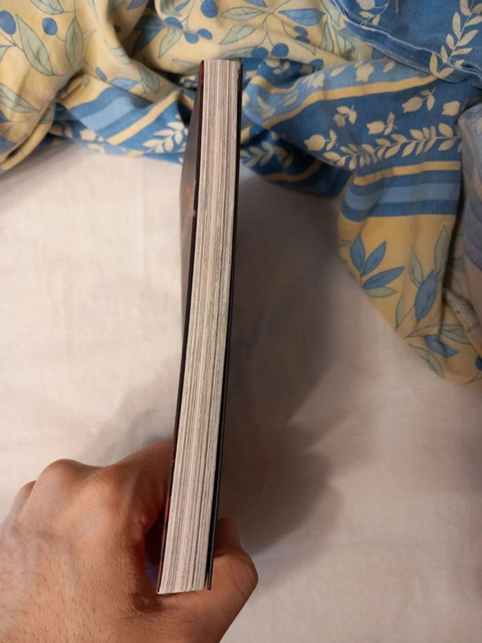 Dusk Maiden of Amnesia tome 1 - photo numéro 6