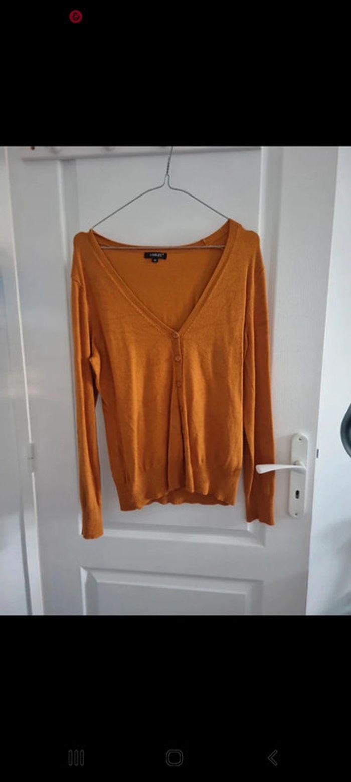 Lot de vêtements femme - photo numéro 5