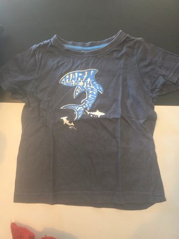 Tee shirt avec requin NKY