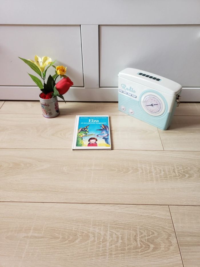 Livre 📖 Elza et ses parents magiques 3€ - photo numéro 2