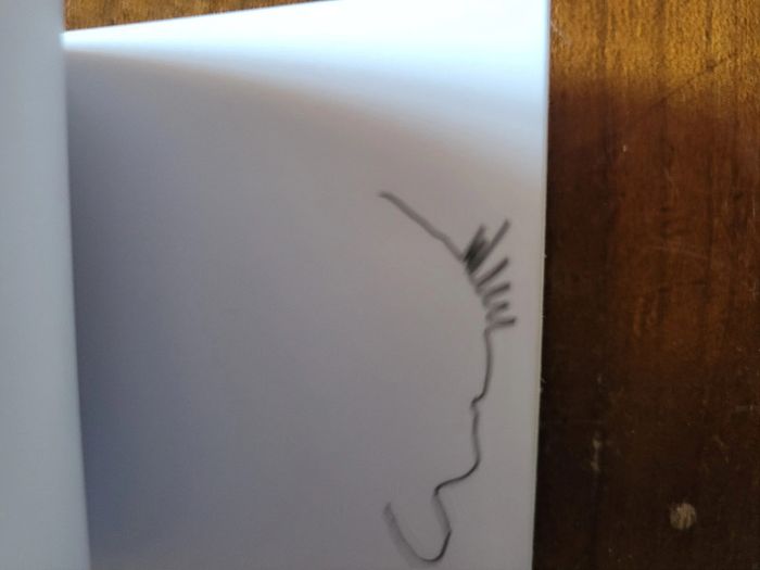 Flipbook Chaviré - photo numéro 5