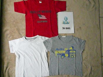 Lot de 3 tee-shirts 36 mois