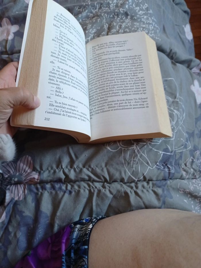 Grand roman de Stephenie Meyer - photo numéro 4