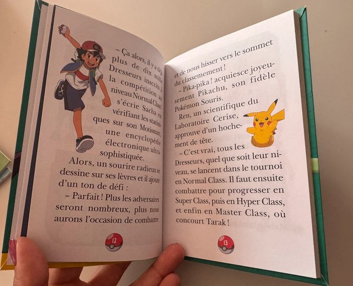 Livte Pokemon les voyages 8 - photo numéro 3