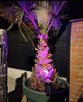 Lumière decorative