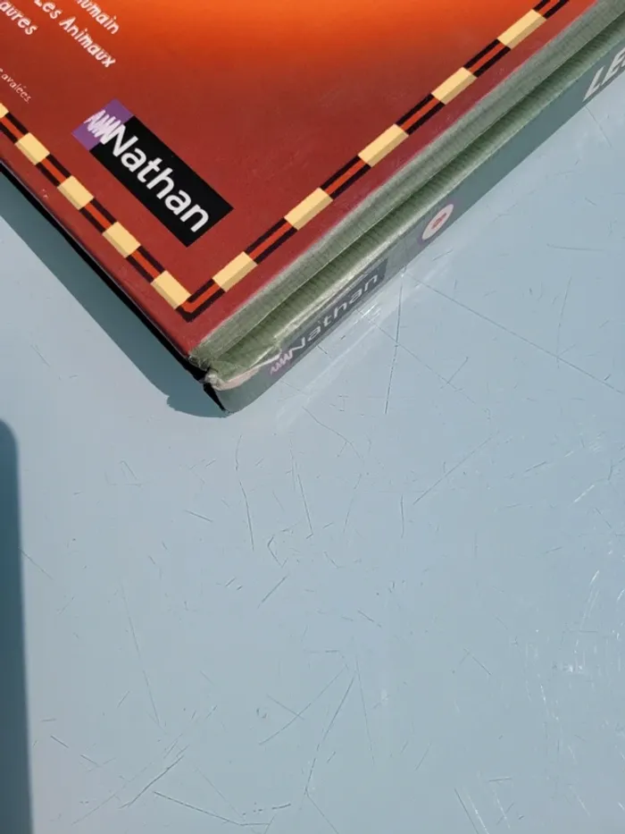 Livre Jeu 🦕 Les Dinosaures sur un plateau 🦖 (81) - photo numéro 11