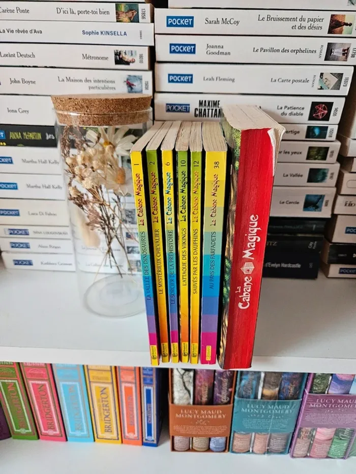 Lot 7 livres cabane magique - photo numéro 4