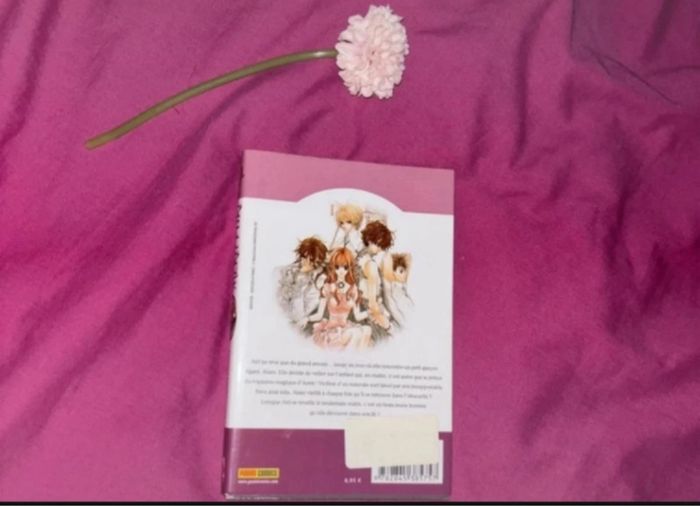 Meru puri - photo numéro 2