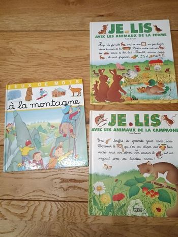 Lot de 3 livres je lis