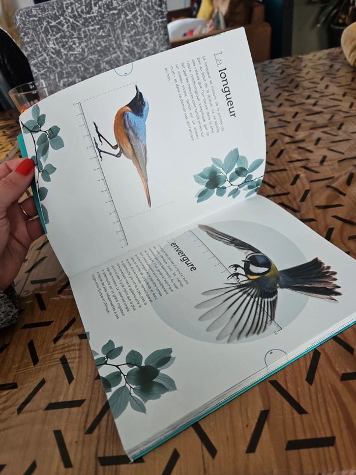 Livre sur les oiseaux - photo numéro 12