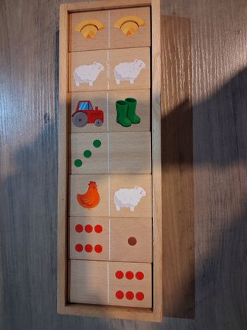 Domino memory bois janod 