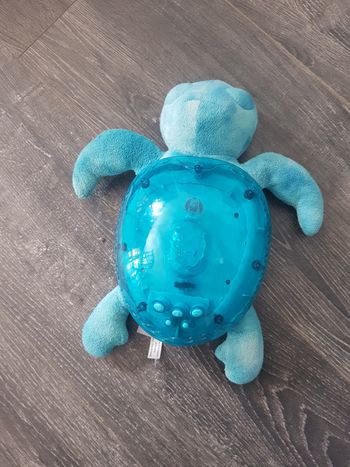 Tortue projection et bruits cloud b