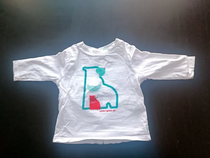 Lot 5 t shirt manches longues 6 mois - photo numéro 17