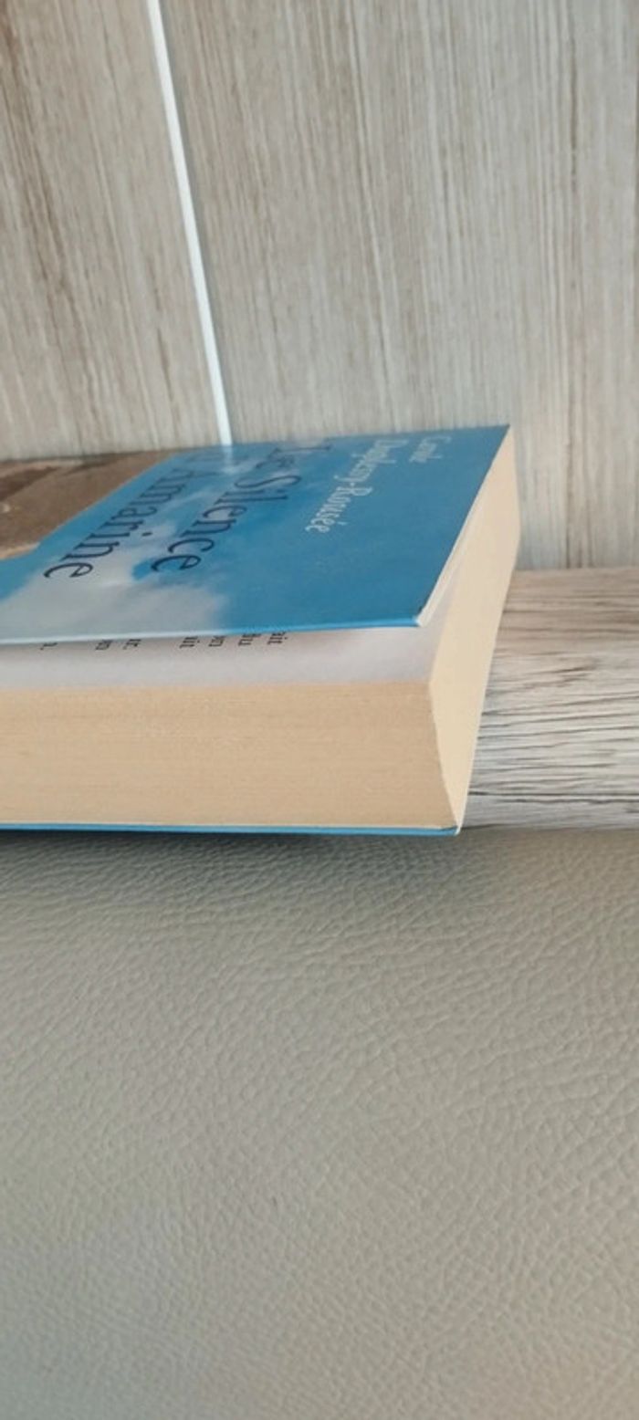 Le silence d'Amarine - photo numéro 3