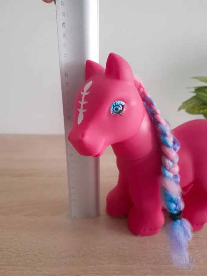 Grand Poney - photo numéro 6