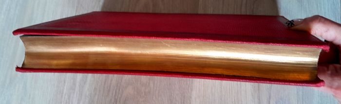 Mlle Zénaide Fleuriot - Papillonne souvenirs de jeunesse d'un vieux campagnard Nouvelles - photo numéro 4