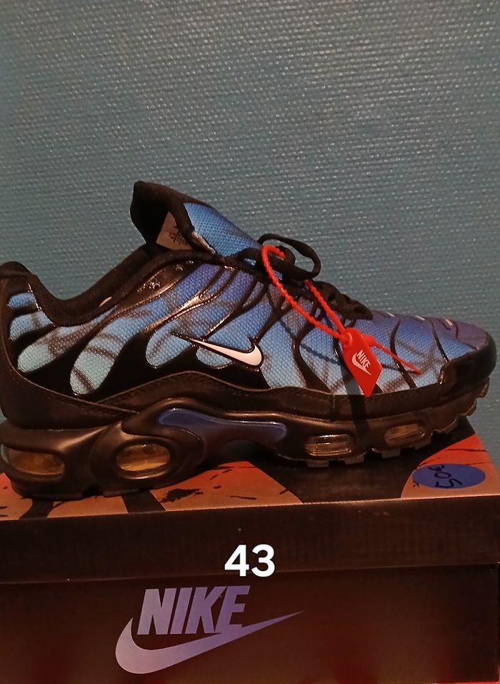 Basket tn - photo numéro 2