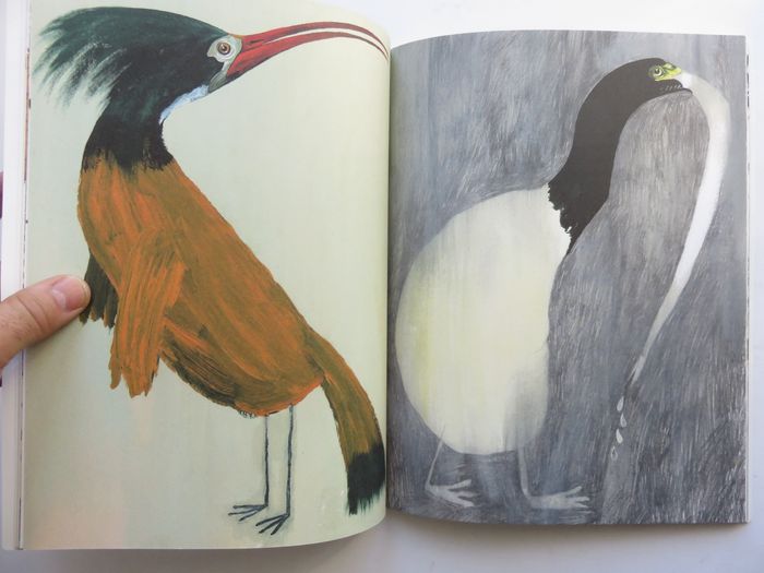 Album 7 à 11 ans : La volière dorée. (Anna Castagnoli - L'école des loisirs) - photo numéro 8