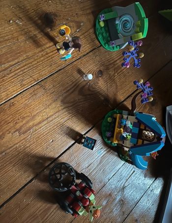 LEGO® Elves 41182 La capture de Sophie Jones