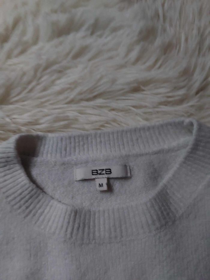 Pull BZB - photo numéro 2