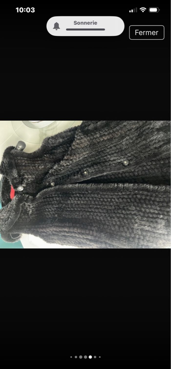 Veste en vison noire - photo numéro 6