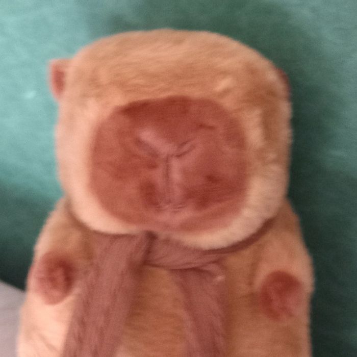 Peluche Capybara - photo numéro 4