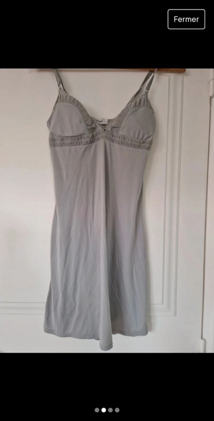 Noisette grise etam - photo numéro 2