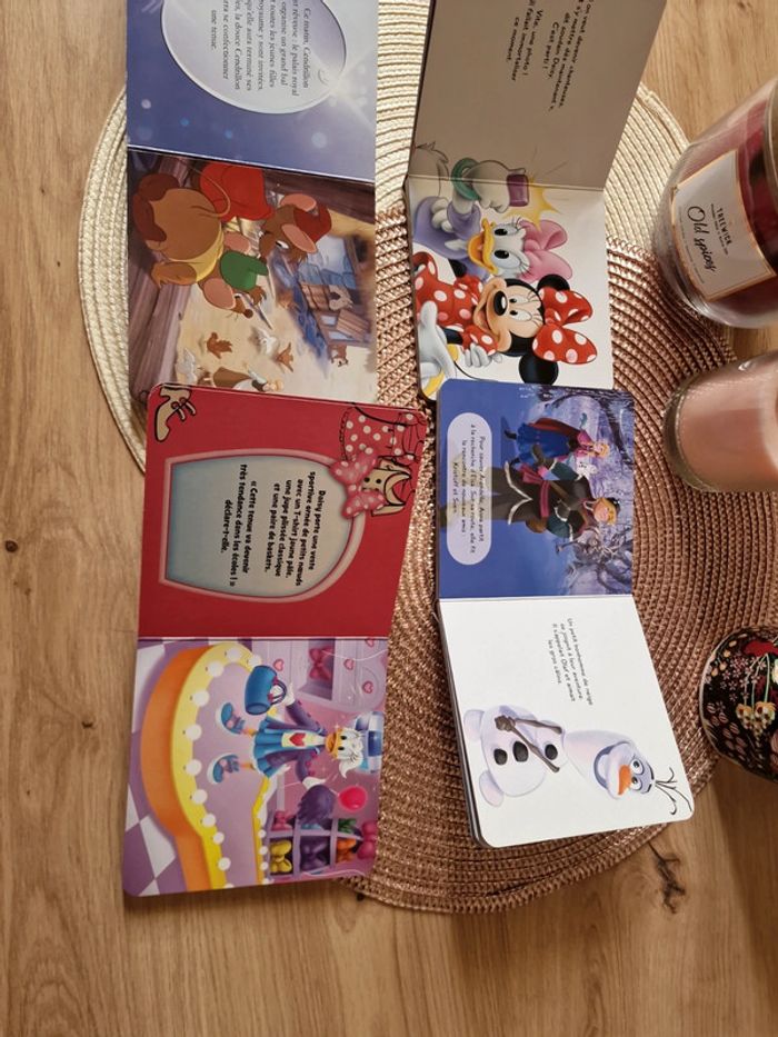 Lots de 4 livres en carton - photo numéro 6