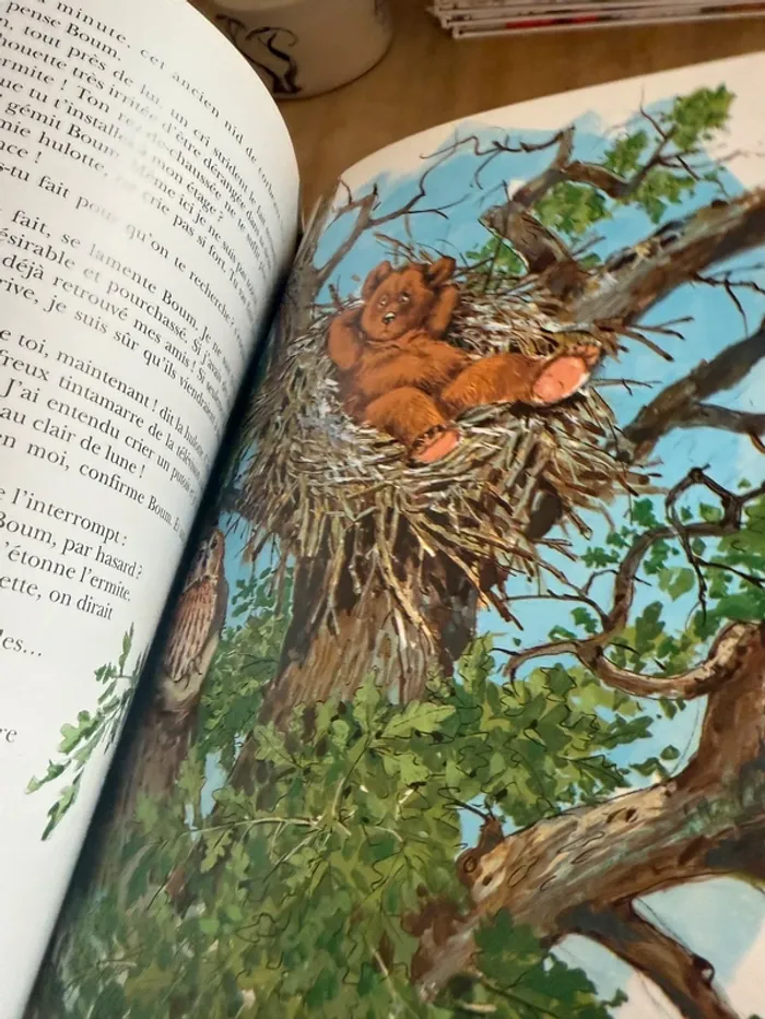 Édition limitée reliure rouge collector - BE Grand livre Caroline et Boum Ermite Pierre Probst - photo numéro 12