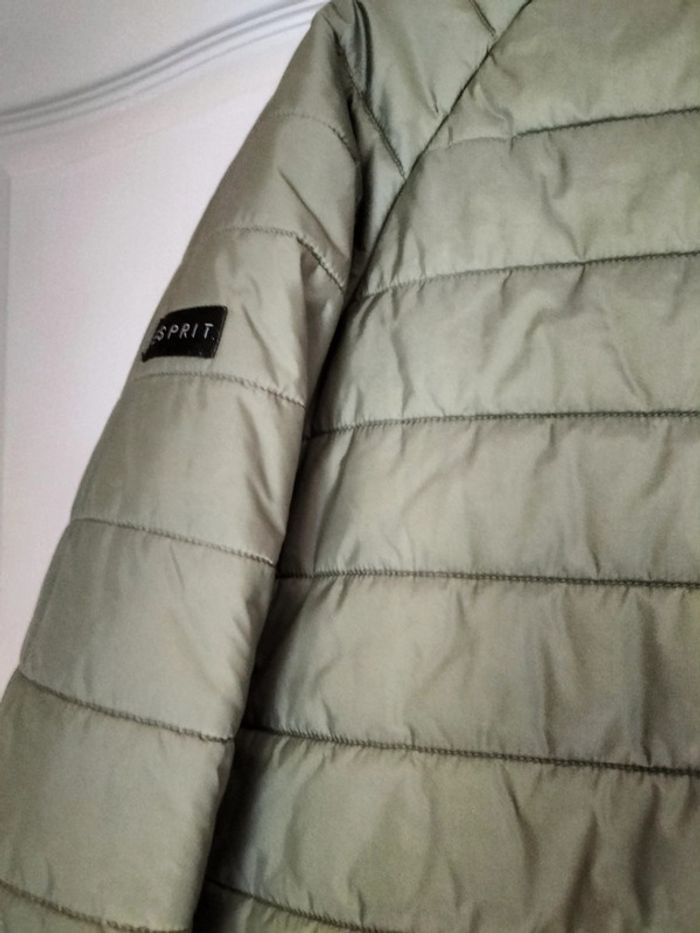 Blouson kaki 14ans Esprit - photo numéro 15