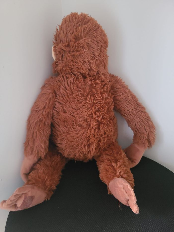 orang-outan - photo numéro 2