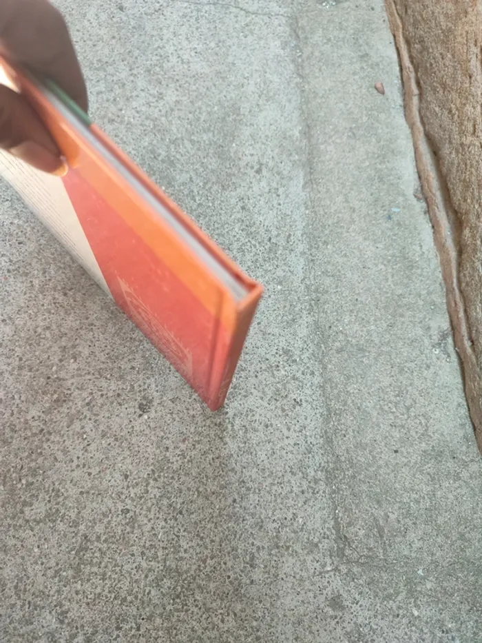 Livre la pomme de terre d'hier et d'aujourd'hui - photo numéro 4