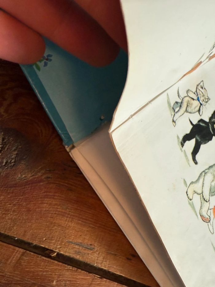 État satisfaisant - Lot de 14 livres bd albums Hachette Caroline Pierre Probst - photo numéro 13