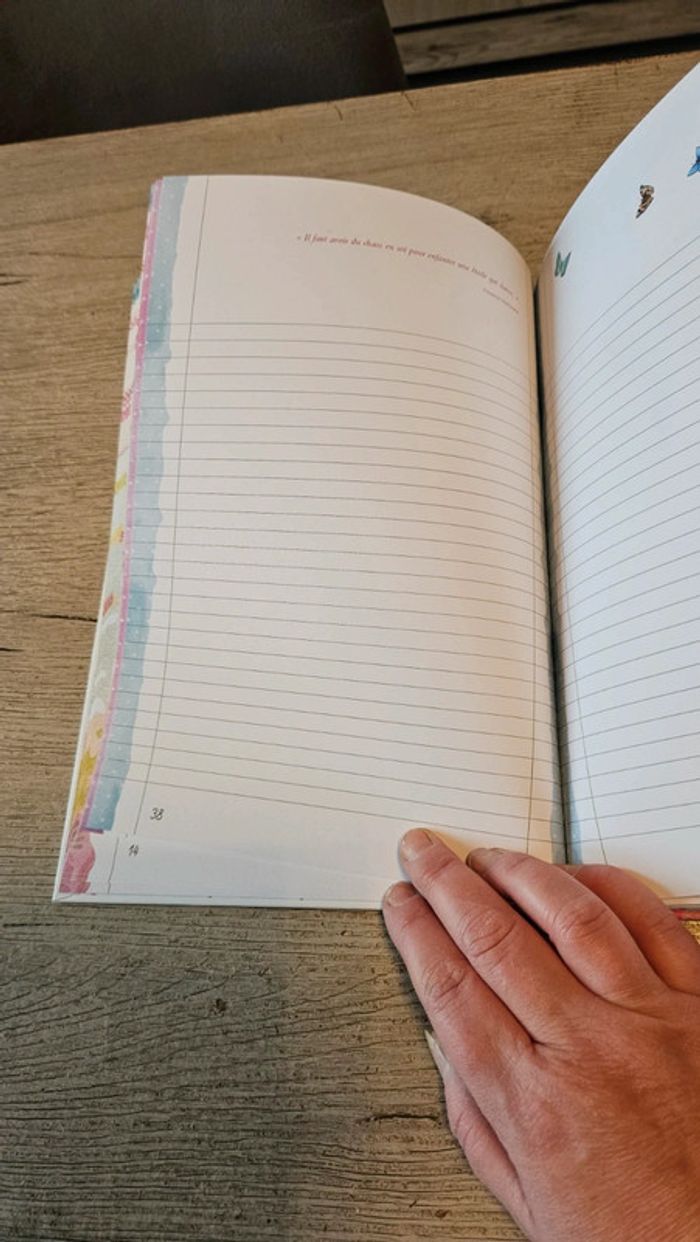 Carnet de danse, cahier intime, Piccolia, 77 pages, neuf - photo numéro 6