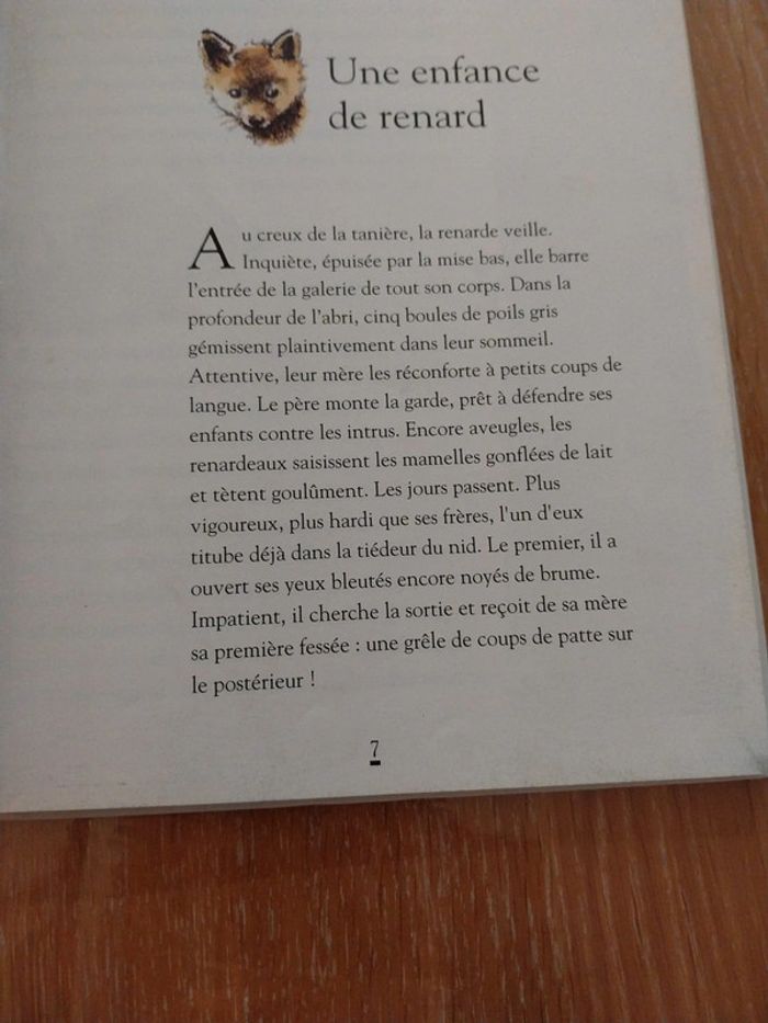 A chaque instant les petits êtres des champs - photo numéro 2