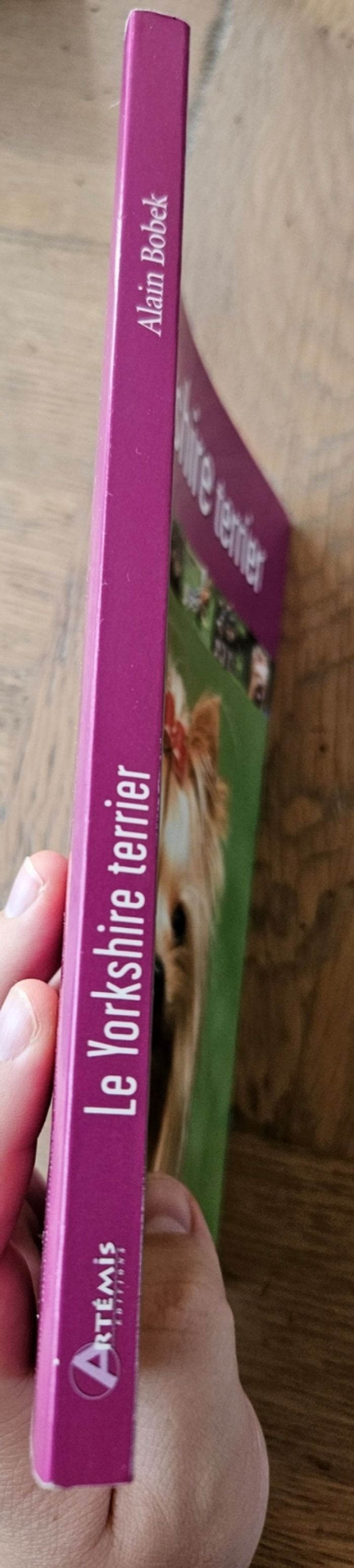 Livre Le Yorkshire terrier - photo numéro 5