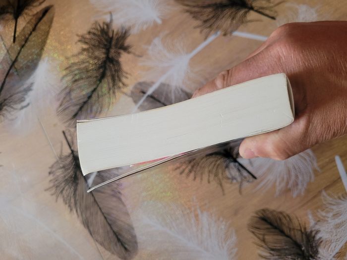 A moi seul bien des personnages John Irving - photo numéro 4