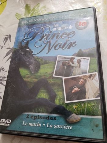 Les aventures de prince noir