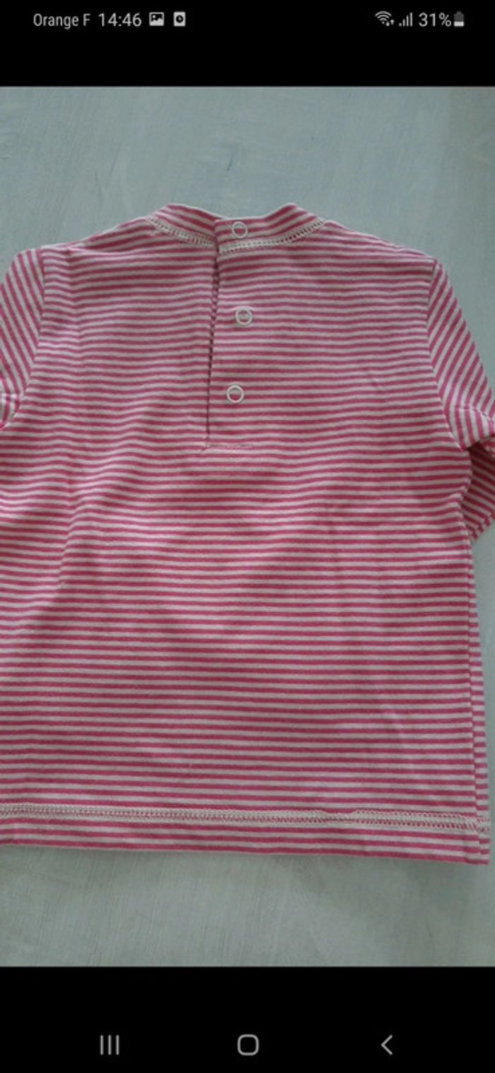 T-shirt Grain de blé 12 mois - photo numéro 3