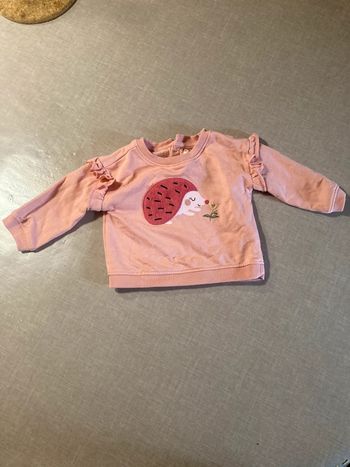 Sweat rose bébé Du Pareil au Même – motif hérisson – 6 mois
