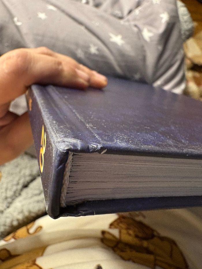 Livre sur 20 ans de Disneyland Paris - photo numéro 3