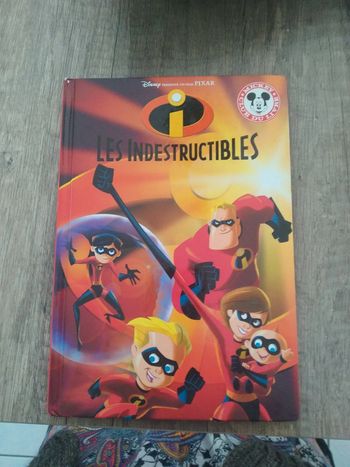 Livre les indestructibles