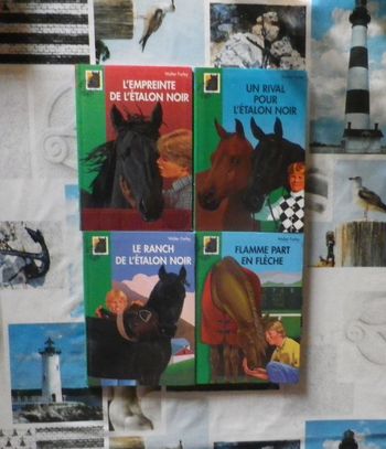 Lot de 4 Bibliotheque verte Etalon et Flamme (ou à l'unité)