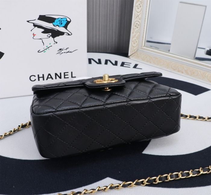 Chane1 8868 - photo numéro 6