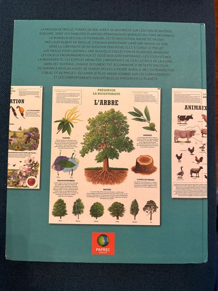 Grand livre Deyrolle pour l’avenir Comprendre la Terre Hoebeke album Louis Albert de Broglie - photo numéro 2