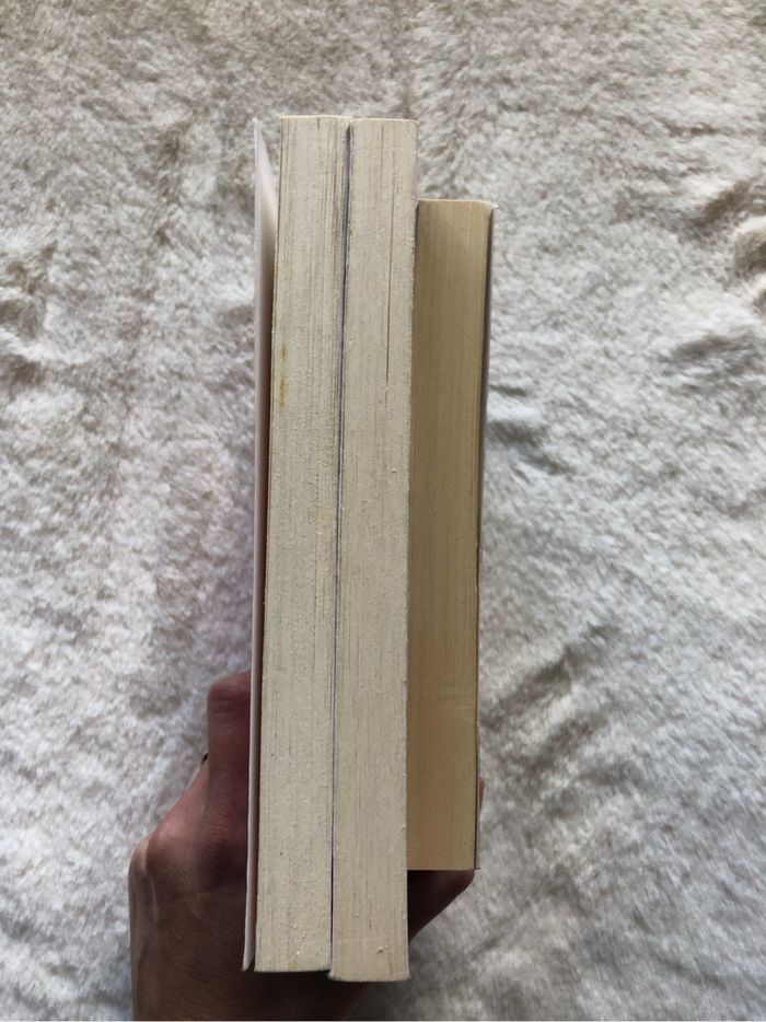 Lot 3 tomes saga Beautiful - Christina Lauren - photo numéro 7