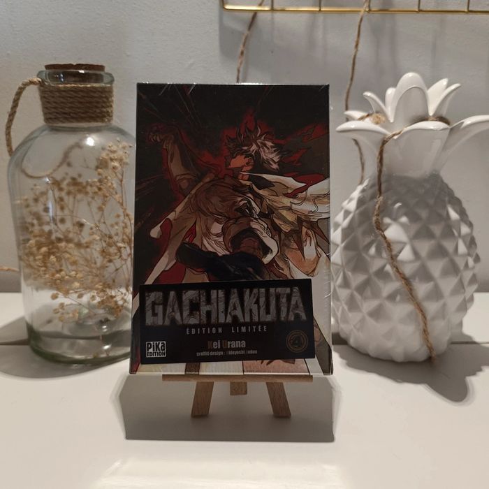 Manga gachiakuta coffret collector 4