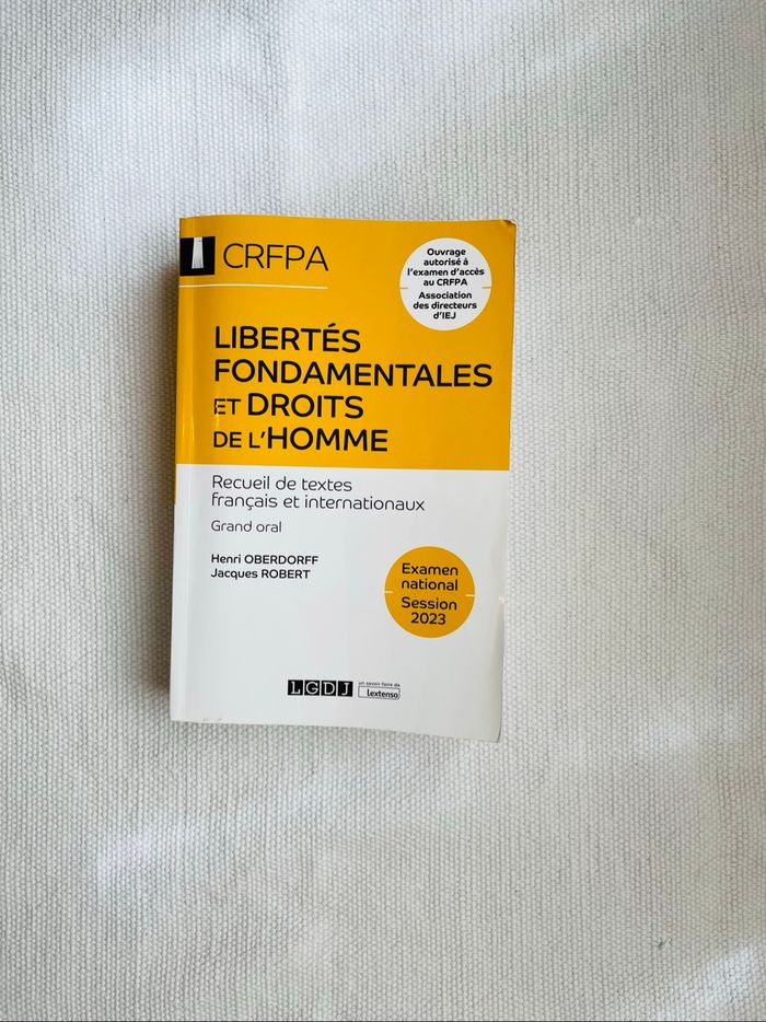 Manuel Libertés fondamentales et droits de l’homme - Oberdoff et Robert jaune en très bon état